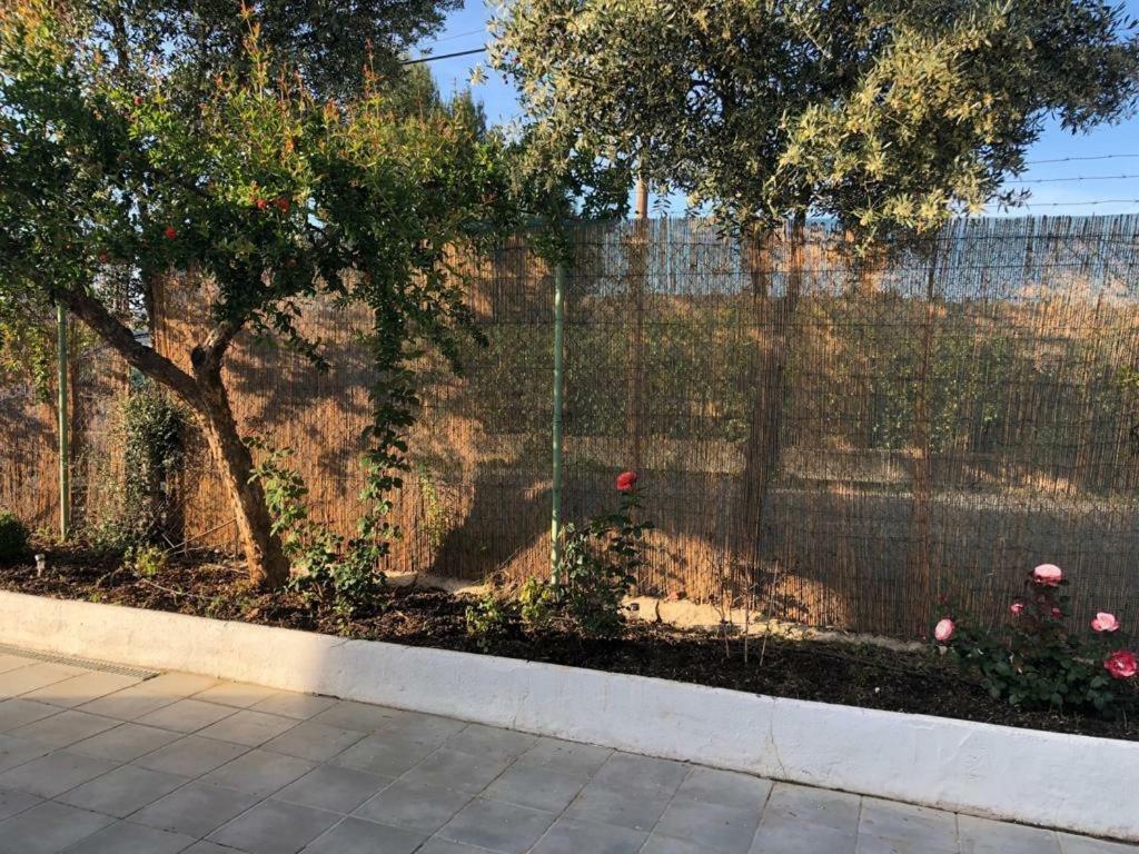 Casa Rural En La Costa Del Sol Cártama Exterior foto
